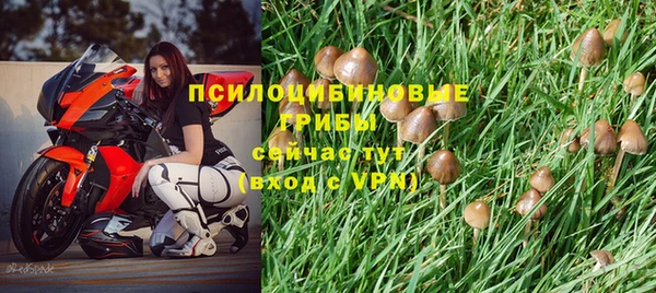 круглые Дмитров